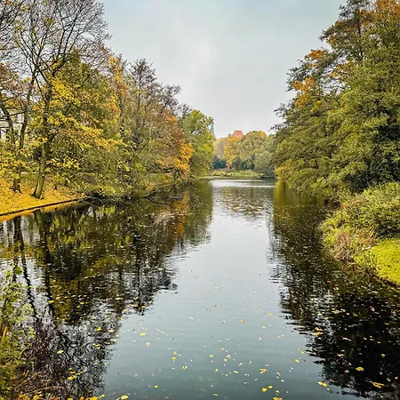 Immostay #5 - - Wlan & Netflix - Zentrum *